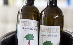   Venica & Venica Winery   