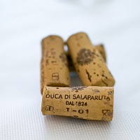 Дегустация вин Duca di Salaparuta