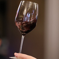 Презентация винодельни CalabriaCamily Wines