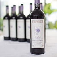 Дегустация вин Venica & Venica Winery с региона Фриули